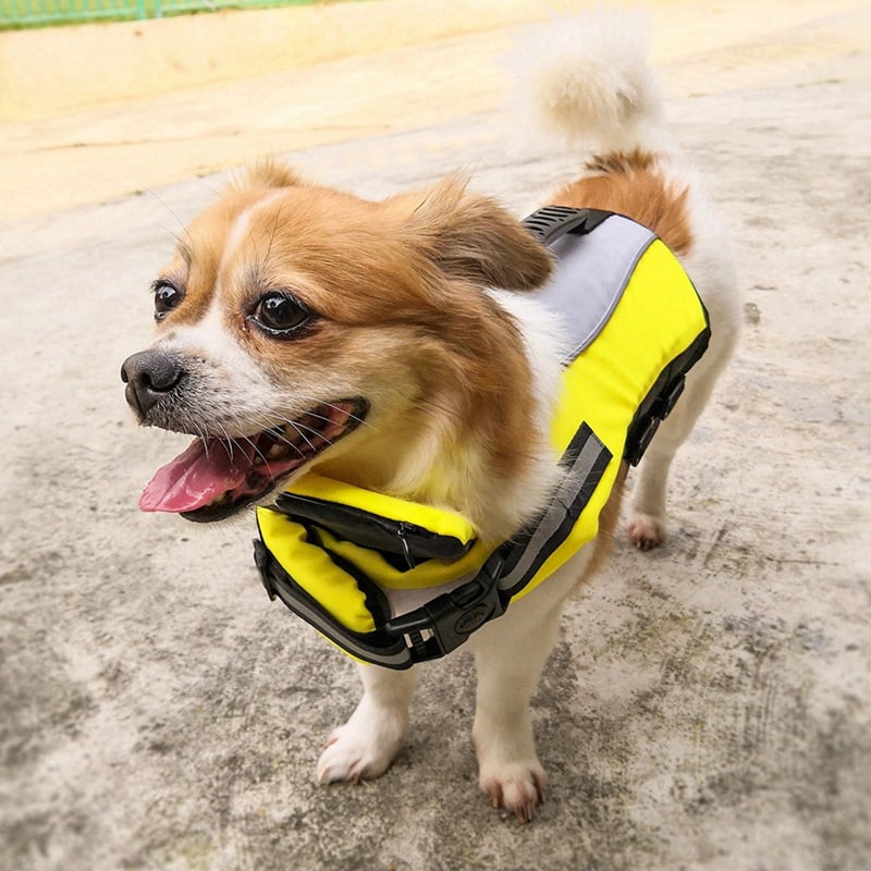 Reflective Dog Life Jacket with Safety Handle – Adjustable Pet Swim Vest with Head Support for Swimming & Boating