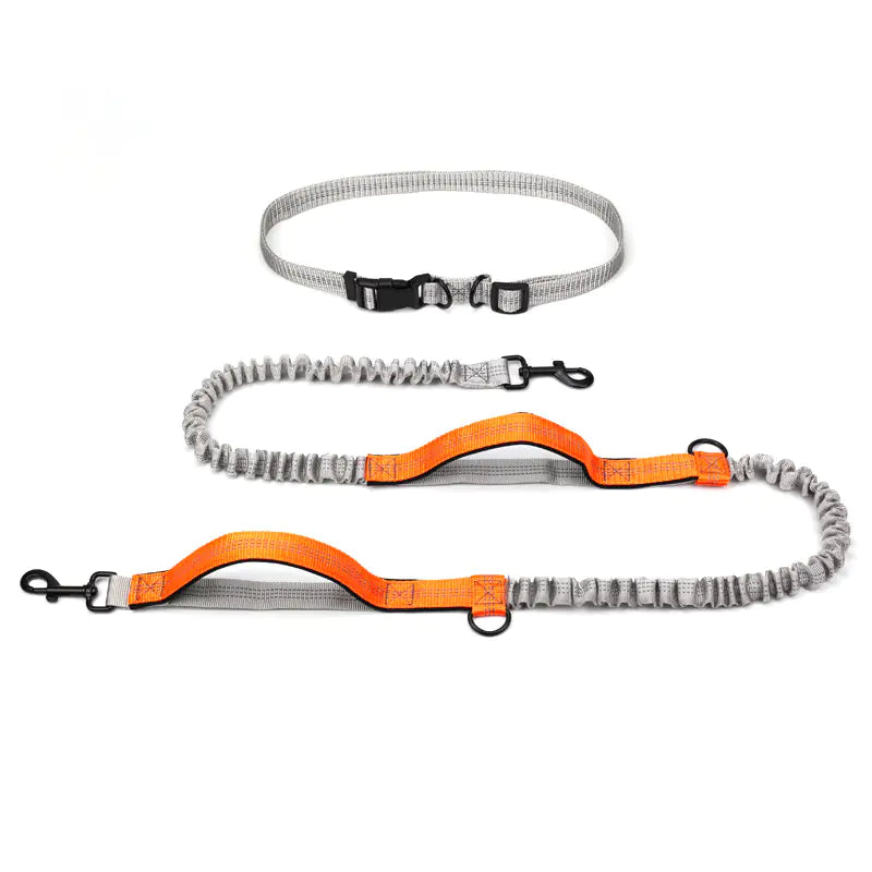 Hands Free Pet Leash - Running Leash - Outdoor Hiking Leash