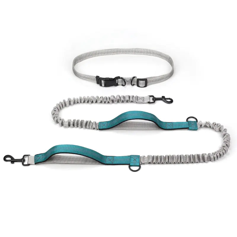 Hands Free Pet Leash - Running Leash - Outdoor Hiking Leash