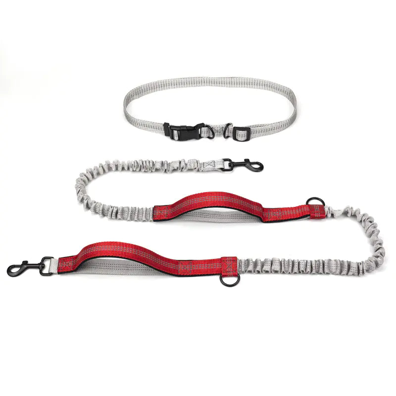 Hands Free Pet Leash - Running Leash - Outdoor Hiking Leash