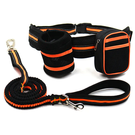 Light Weight Reflective Handsfree Pet Leash with Treat Pouch + bottle Holder